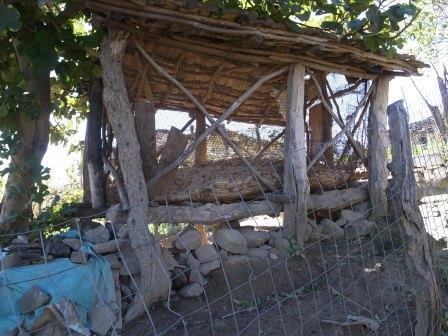 Detail of six post structure with maize cobs drying